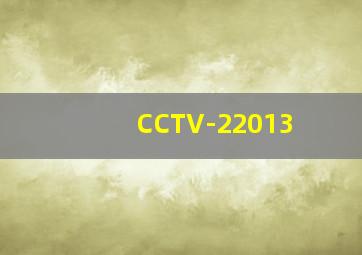 CCTV-22013